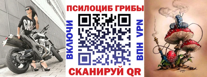 Купить  Тверь  Галлюциногенные грибы мицелий 